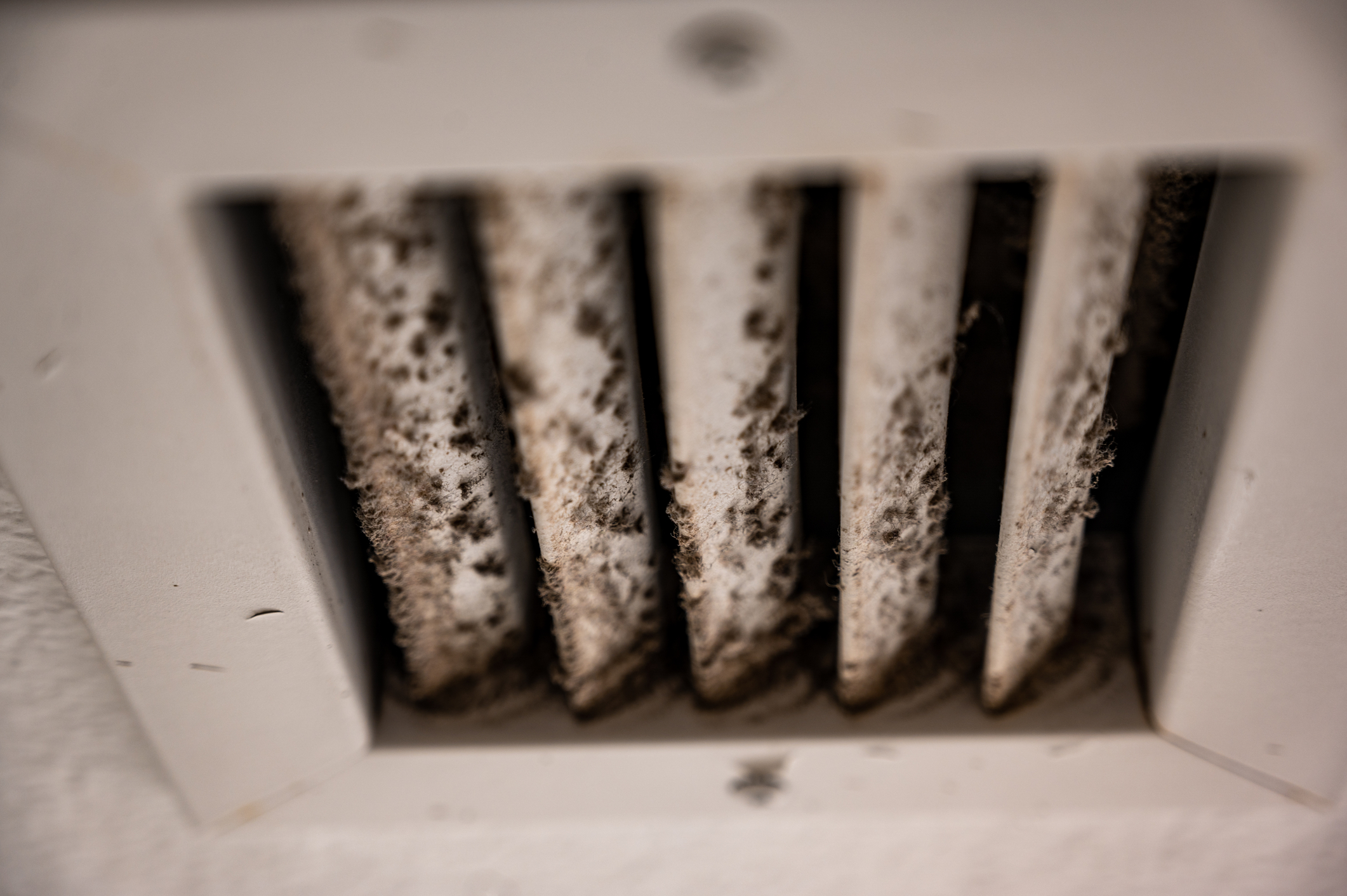 Signs Your Air Ducts May Have Mold Growing In Them