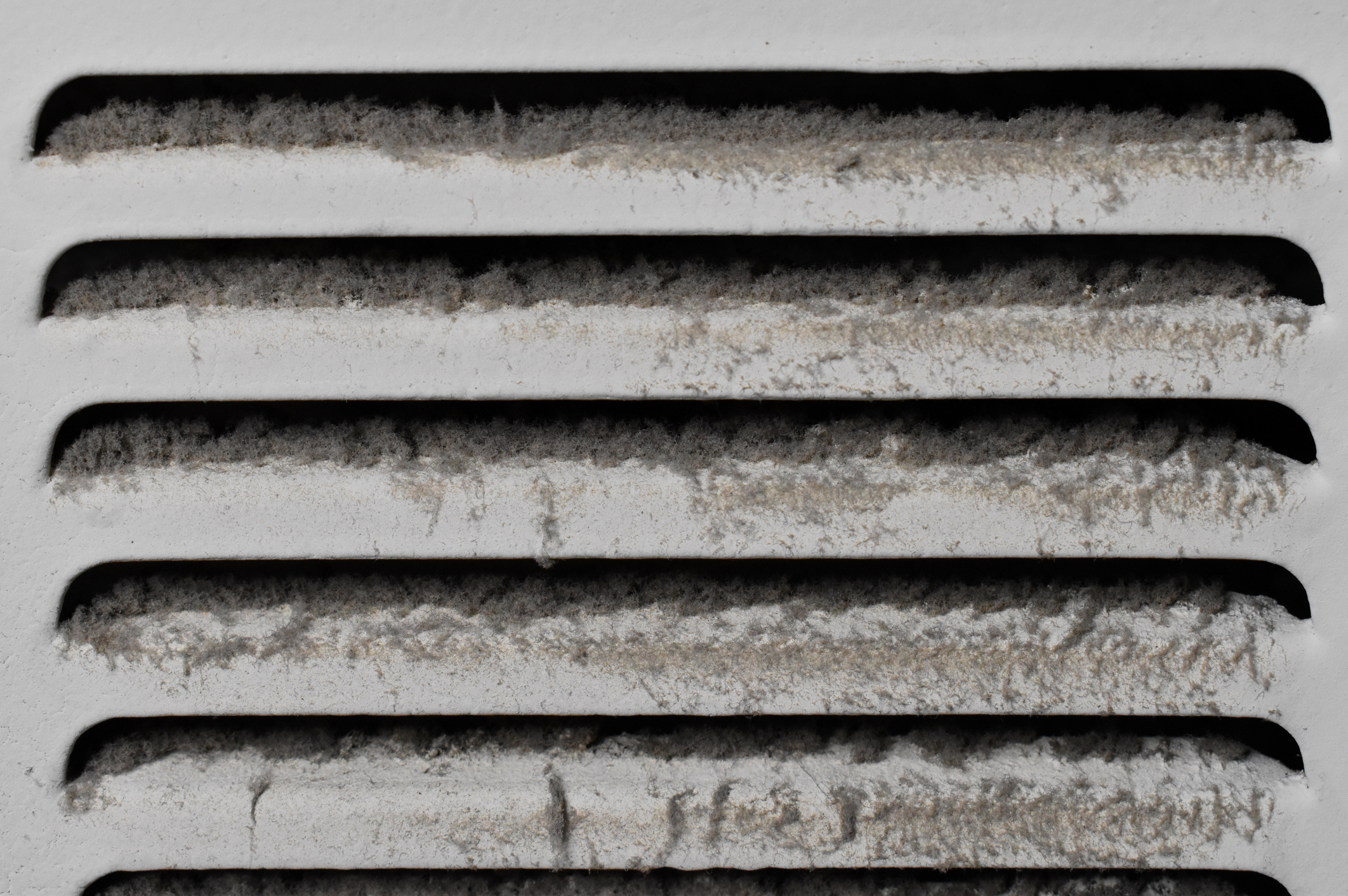 Does an Air Ionizer Get Rid of Mold?